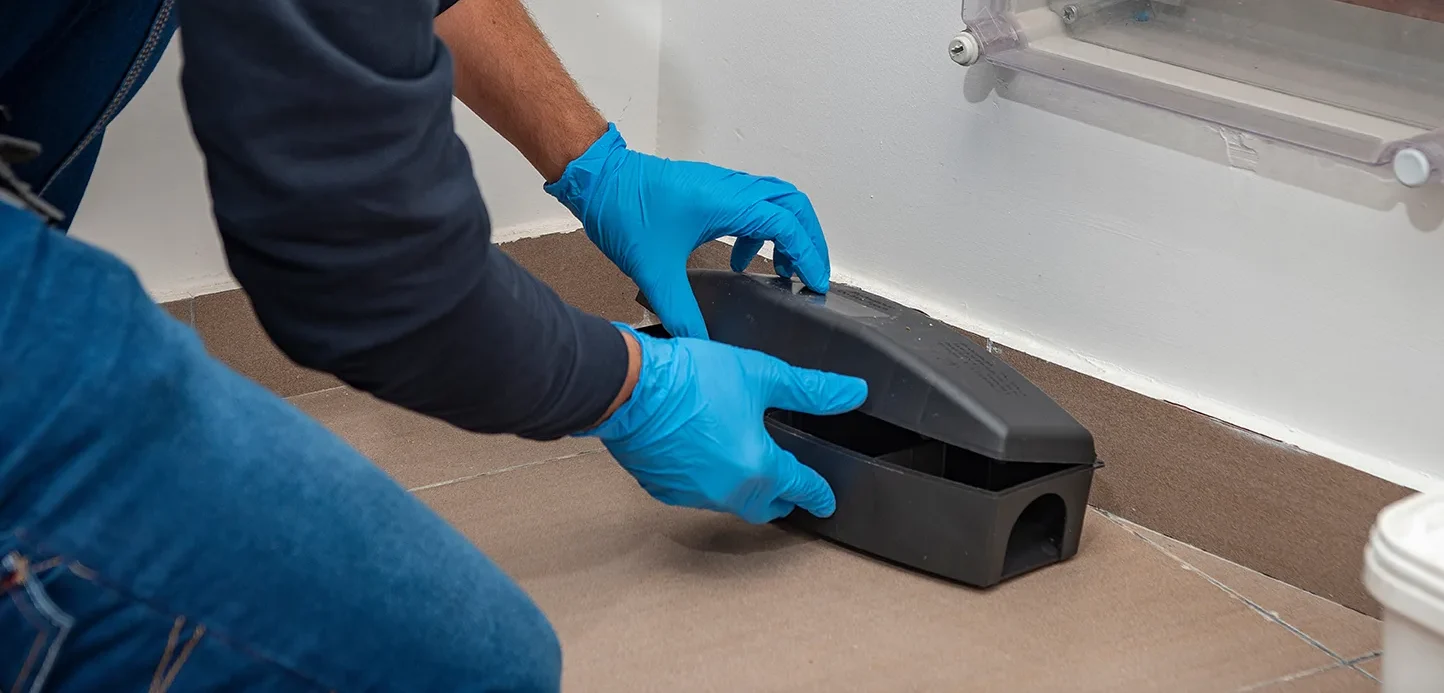 AdobeStock 423093428 copy