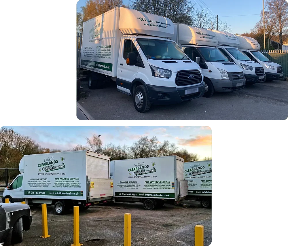 Vans Double Image Blurred